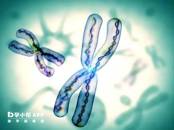 药流