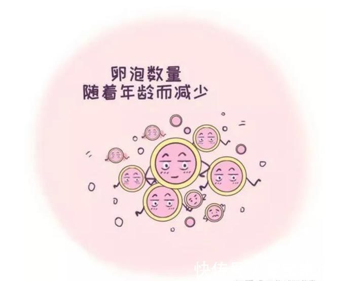 女性生理周期