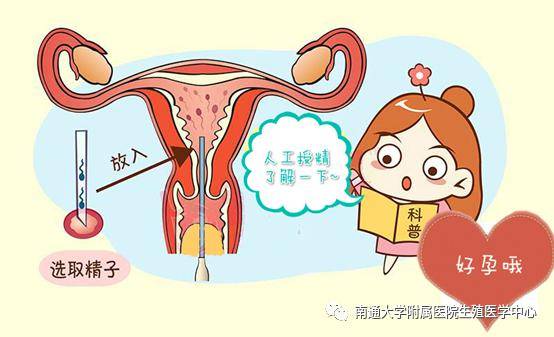 偶尔例假期同房