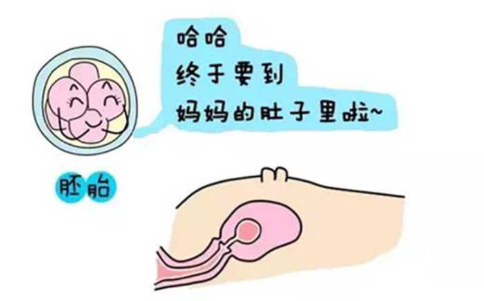 流产手术费用