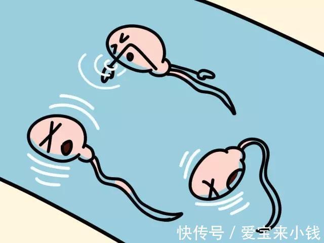 胎儿停止发育