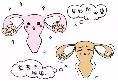 停经33天