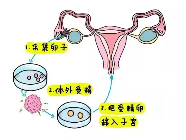 经期同房